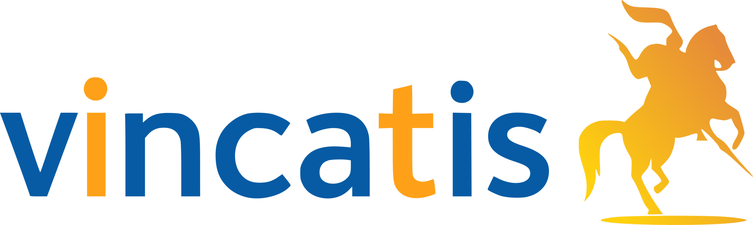 Vincatis LMS logo